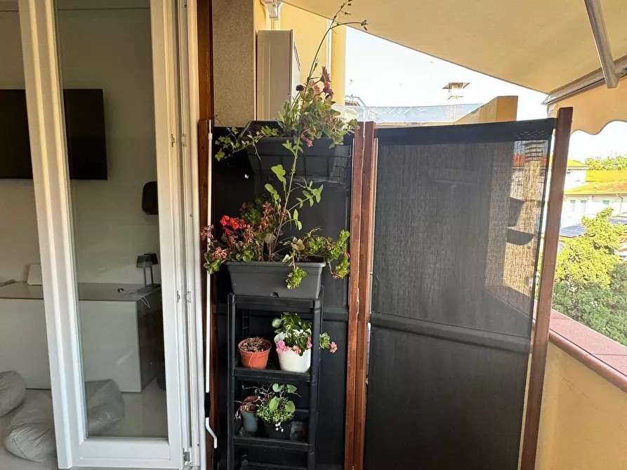 Immagine 3 di Appartamento in vendita  a Viareggio