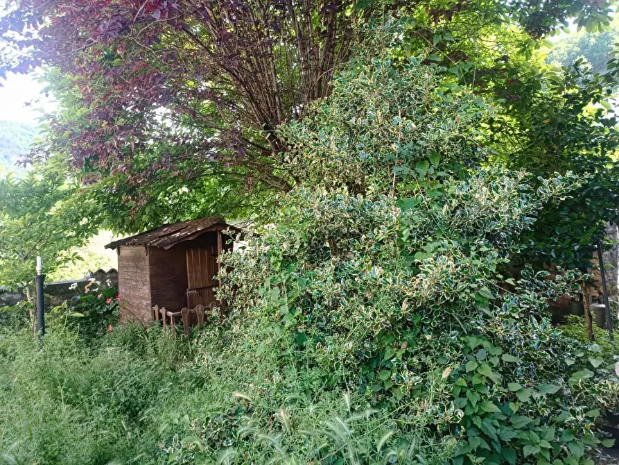 Immagine 6 di Terratetto in vendita  a Fosciandora