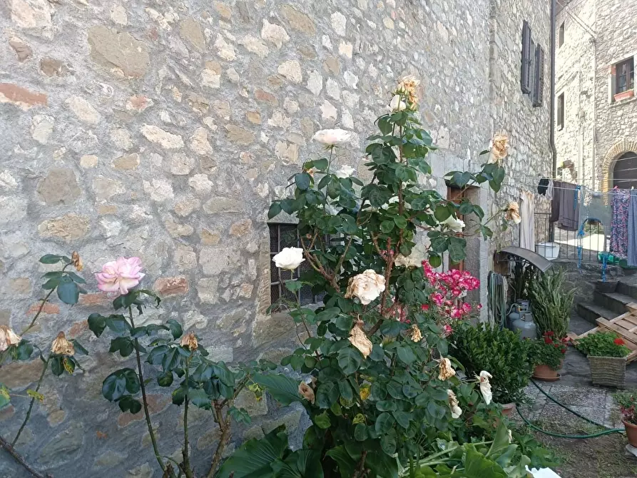 Immagine 9 di Terratetto in vendita  a Fosciandora