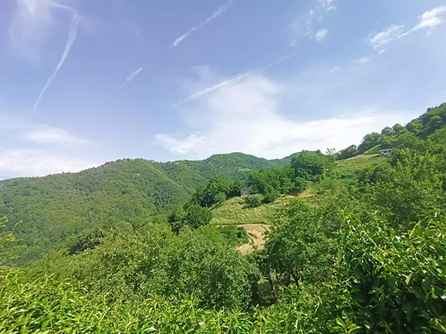 Immagine 26 di Terratetto in vendita  a Fosciandora