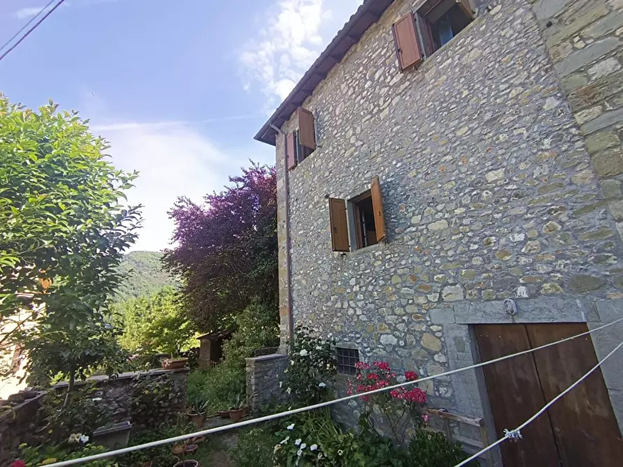 Immagine 7 di Terratetto in vendita  a Fosciandora