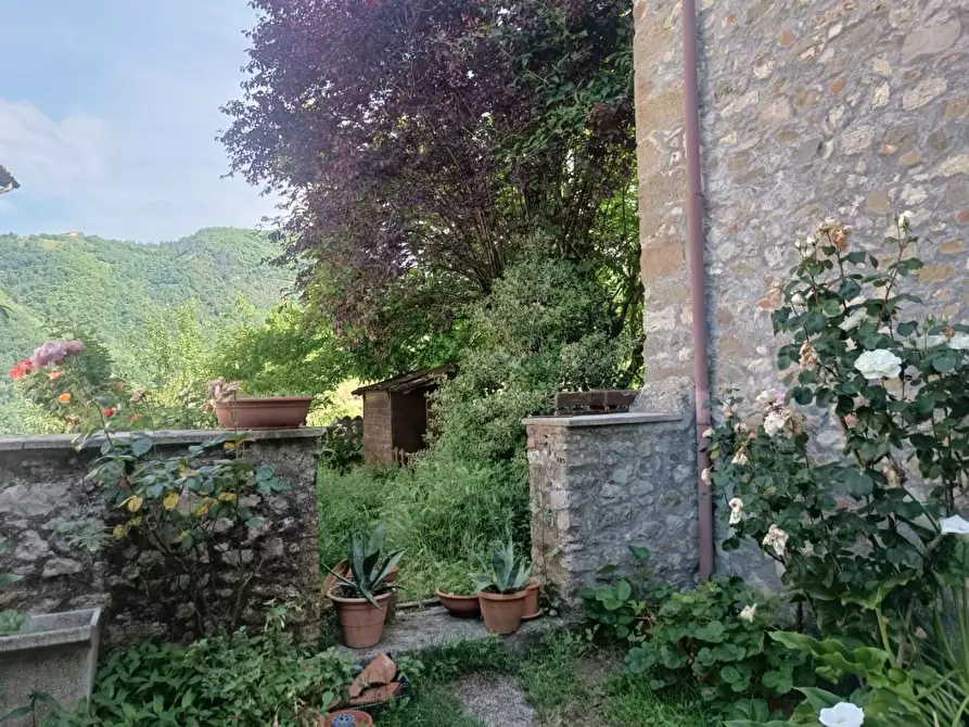 Immagine 5 di Terratetto in vendita  a Fosciandora