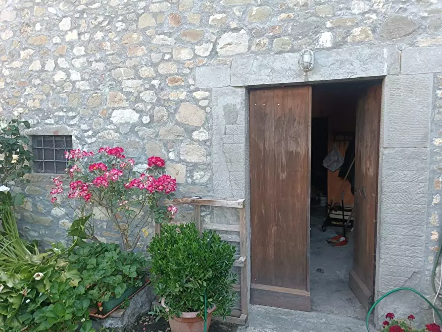 Immagine 8 di Terratetto in vendita  a Fosciandora