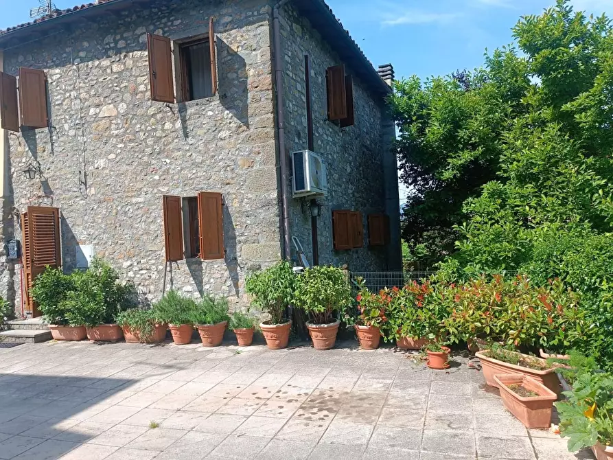 Immagine 2 di Terratetto in vendita  a Fosciandora