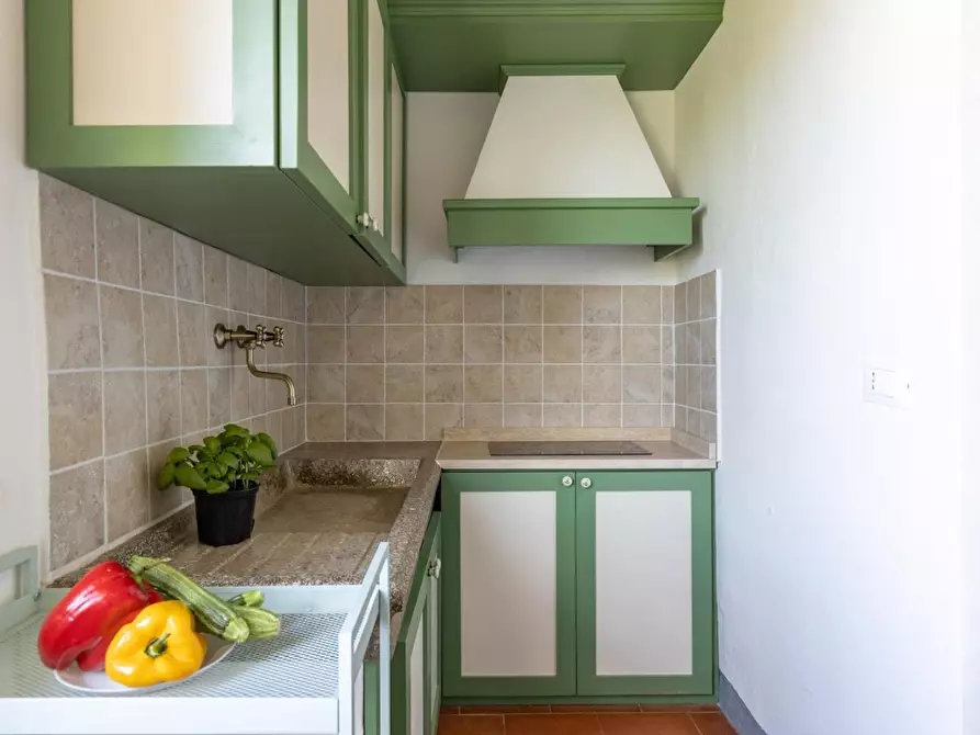 Immagine 15 di Terratetto in vendita  a Peccioli