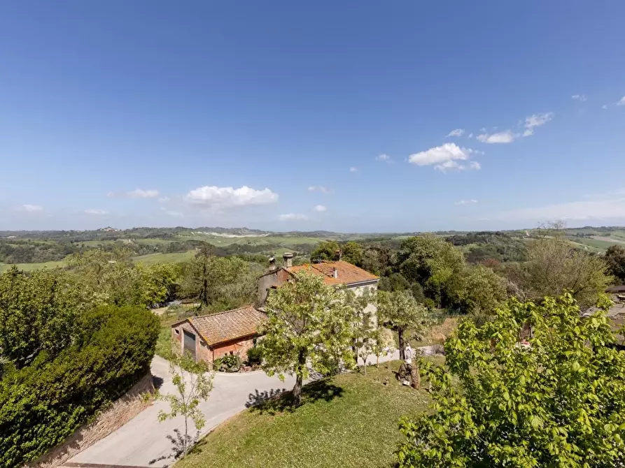 Immagine 26 di Terratetto in vendita  a Peccioli