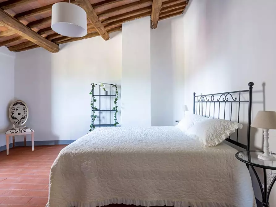 Immagine 25 di Terratetto in vendita  a Peccioli