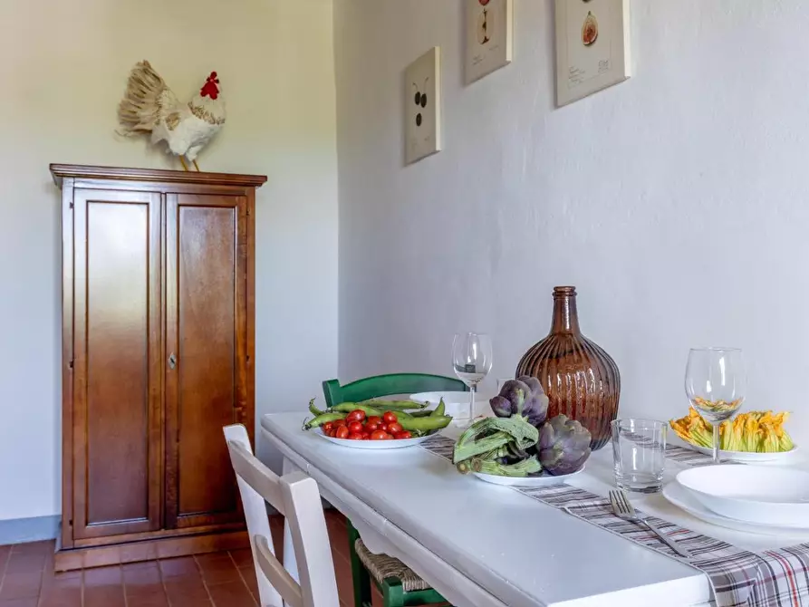 Immagine 14 di Terratetto in vendita  a Peccioli