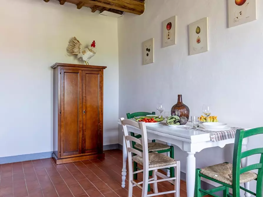 Immagine 12 di Terratetto in vendita  a Peccioli