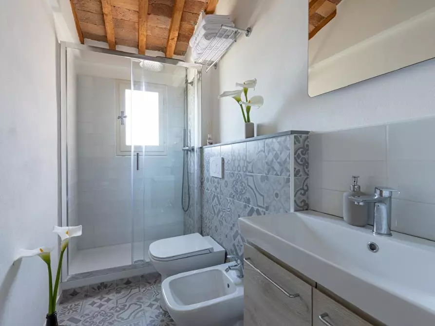 Immagine 27 di Terratetto in vendita  a Peccioli