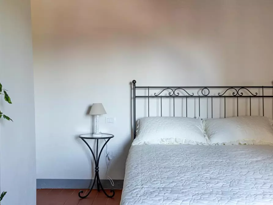 Immagine 24 di Terratetto in vendita  a Peccioli