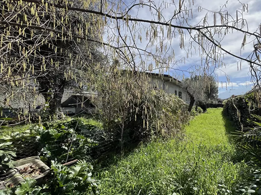 Immagine 7 di Casa indipendente in vendita  a Forte Dei Marmi