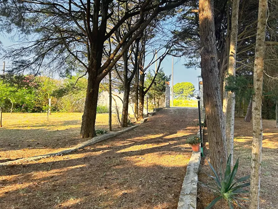 Immagine 21 di Villa in vendita  a Lecce