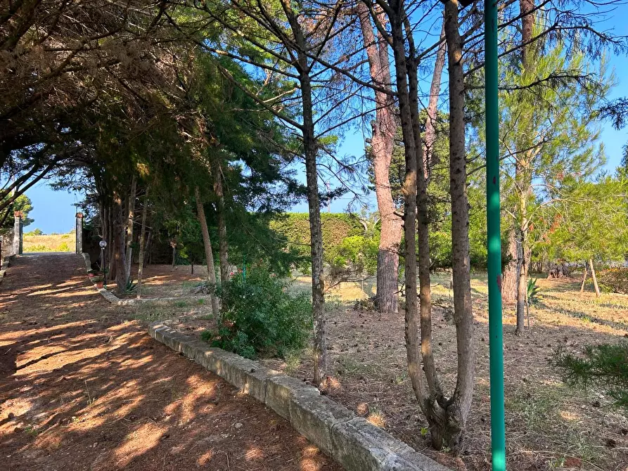 Immagine 22 di Villa in vendita  a Lecce