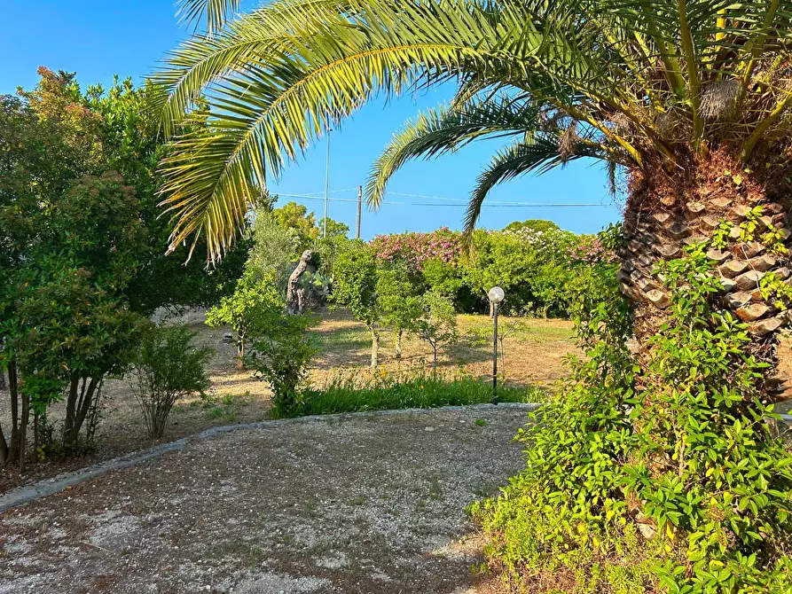 Immagine 17 di Villa in vendita  a Lecce