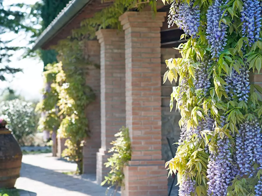 Immagine 6 di Casa colonica in vendita  a Peccioli