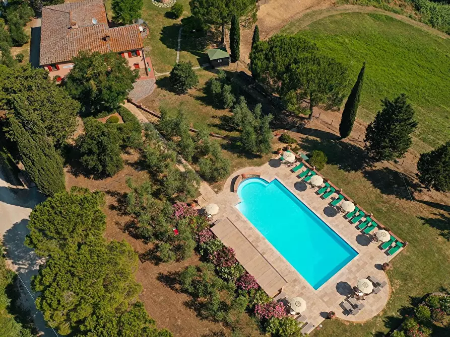 Immagine 2 di Casa colonica in vendita  a Peccioli