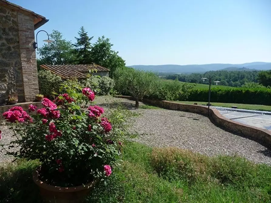 Immagine 7 di Casa colonica in vendita  a Chiusdino