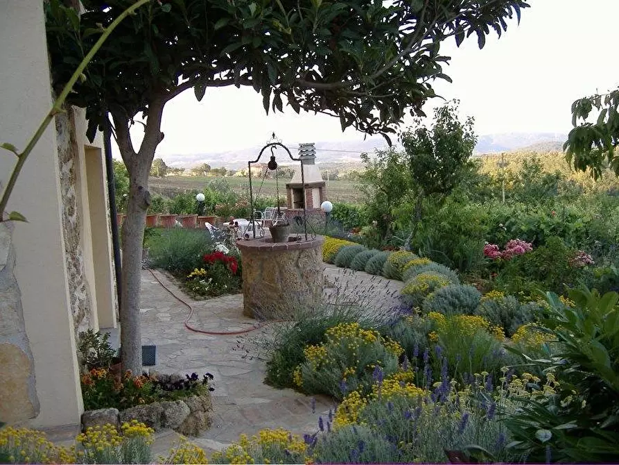 Immagine 9 di Casa colonica in vendita  a Chiusdino