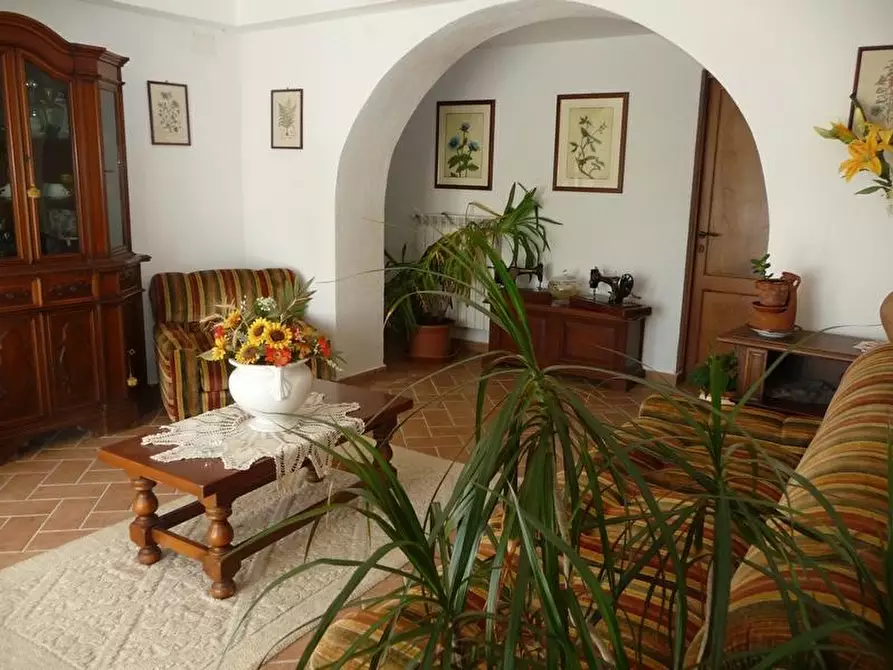 Immagine 3 di Casa colonica in vendita  a Chiusdino
