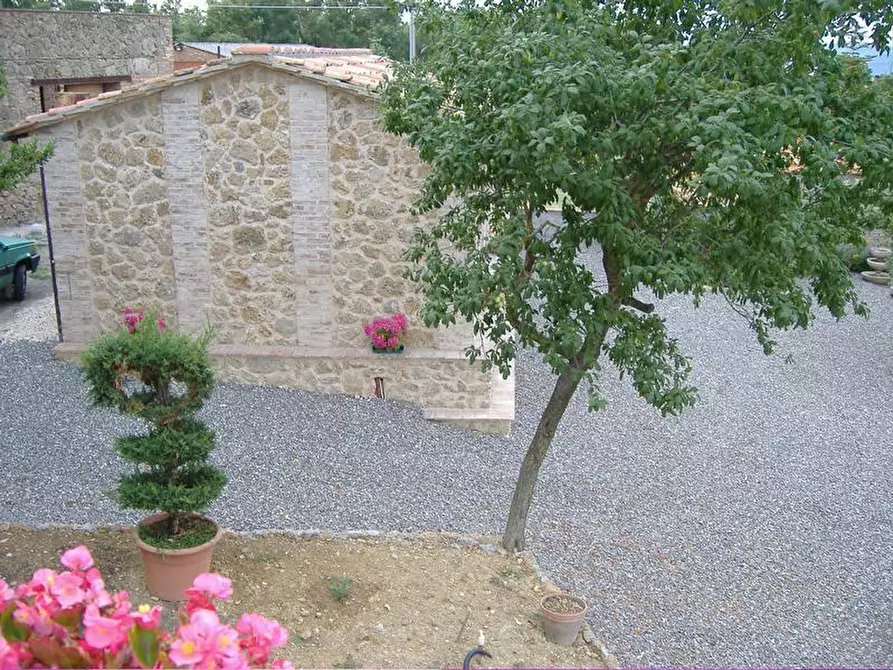 Immagine 12 di Casa colonica in vendita  a Chiusdino