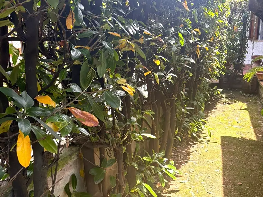 Immagine 12 di Casa bifamiliare in vendita  a Massa