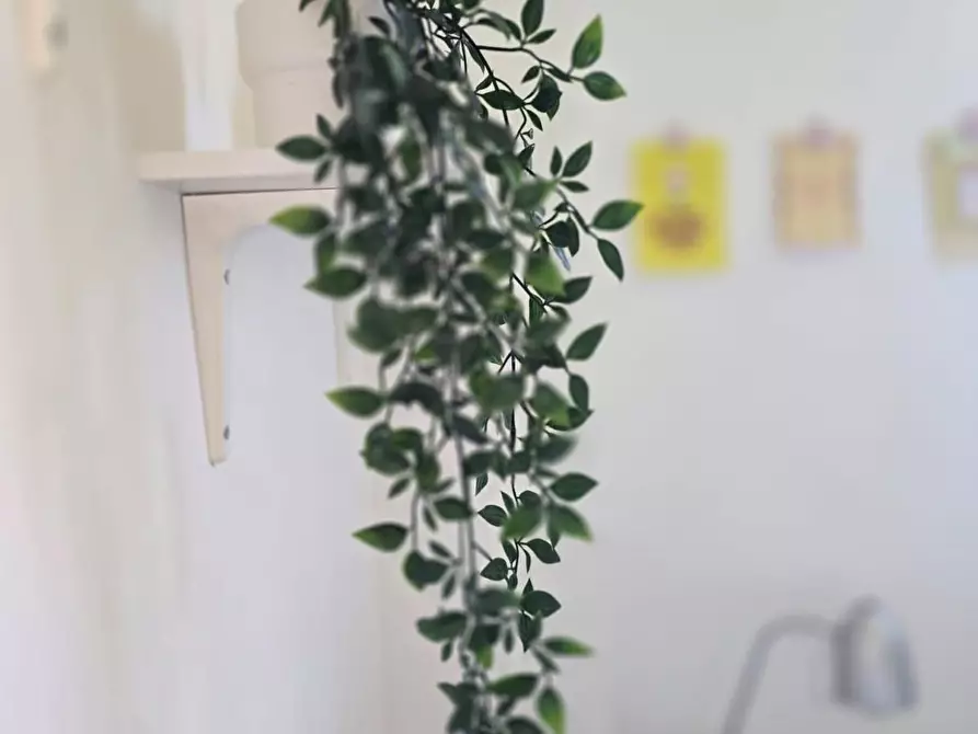 Immagine 26 di Appartamento in vendita  a Siena