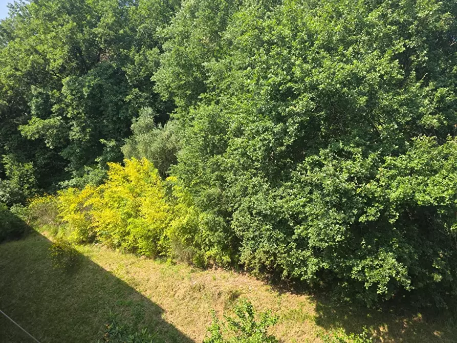 Immagine 16 di Appartamento in vendita  a Siena