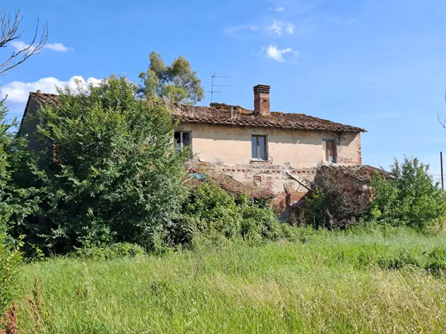 Immagine 3 di Casa colonica in vendita  a Fucecchio