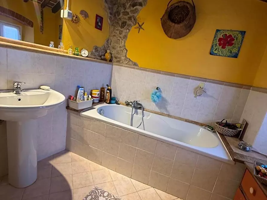 Immagine 22 di Terratetto in vendita  a Massa