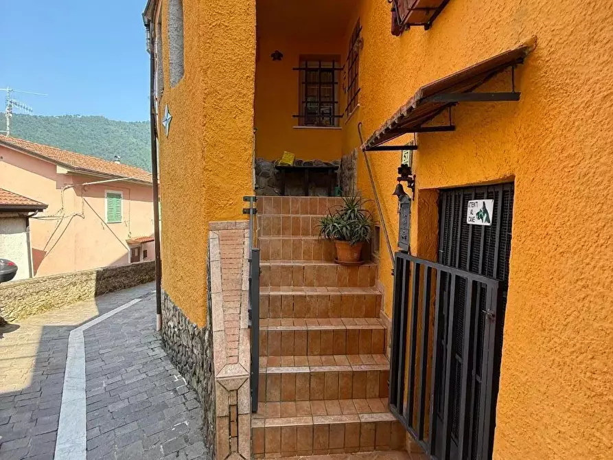 Immagine 35 di Terratetto in vendita  a Massa