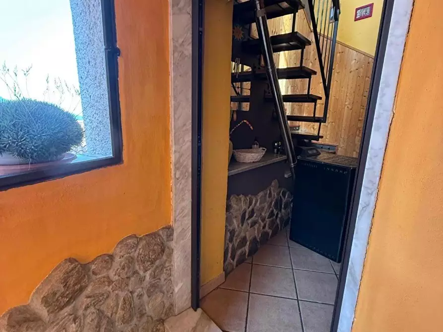 Immagine 6 di Terratetto in vendita  a Massa