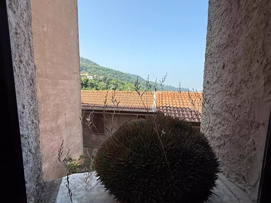 Immagine 8 di Terratetto in vendita  a Massa