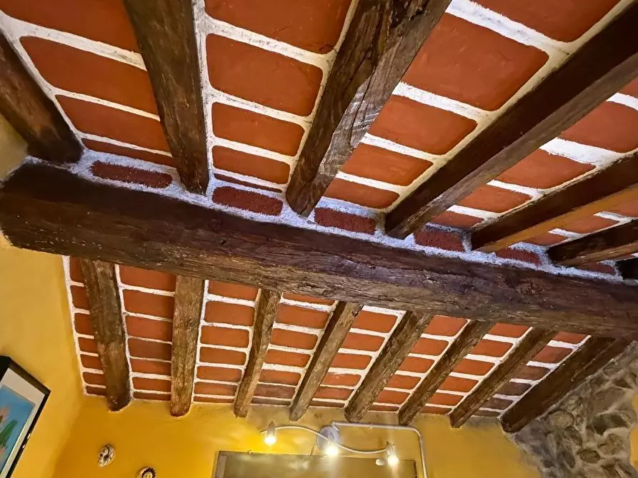 Immagine 23 di Terratetto in vendita  a Massa