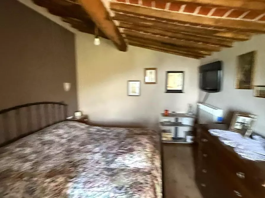 Immagine 29 di Terratetto in vendita  a Massa