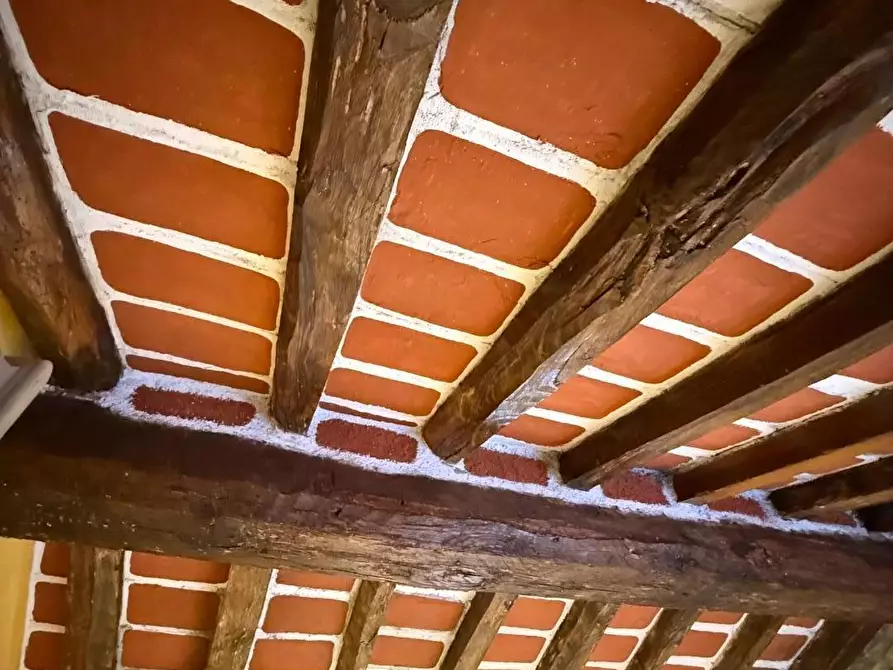 Immagine 24 di Terratetto in vendita  a Massa