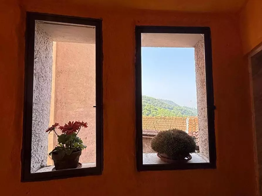 Immagine 7 di Terratetto in vendita  a Massa