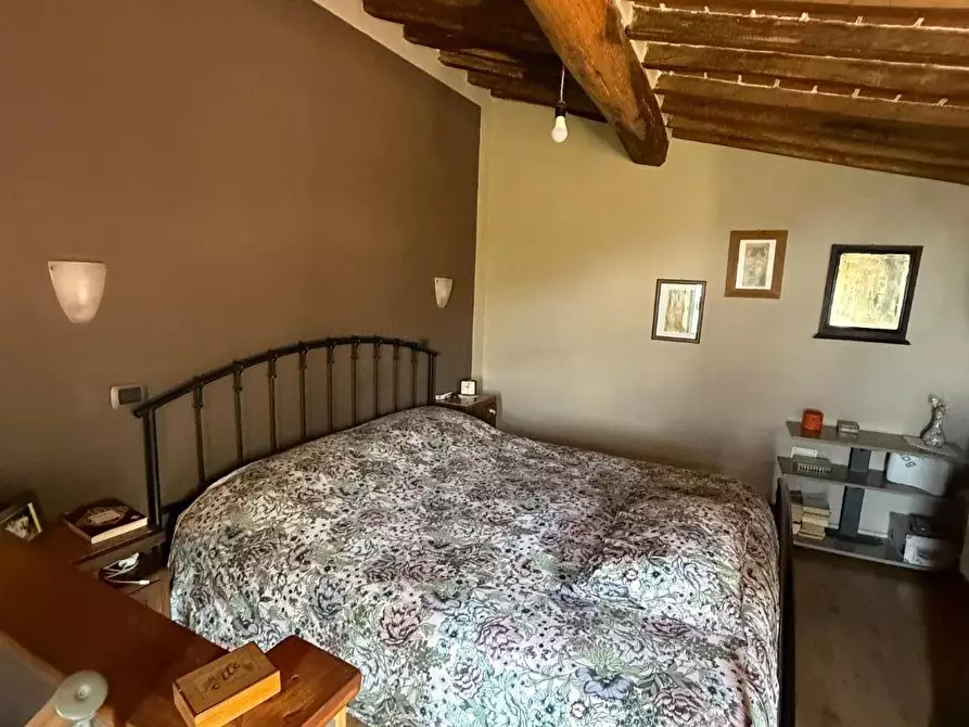 Immagine 28 di Terratetto in vendita  a Massa