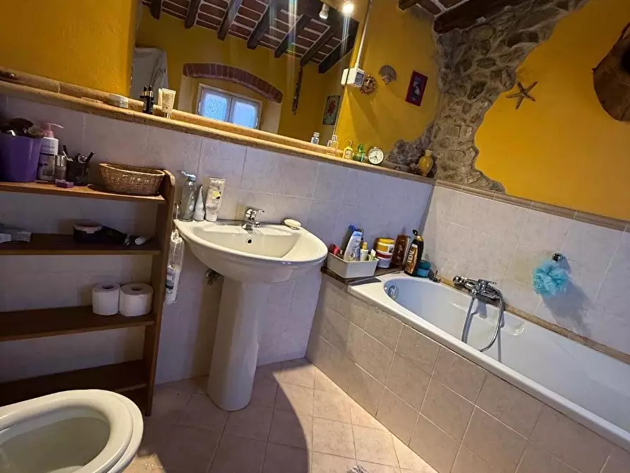 Immagine 21 di Terratetto in vendita  a Massa