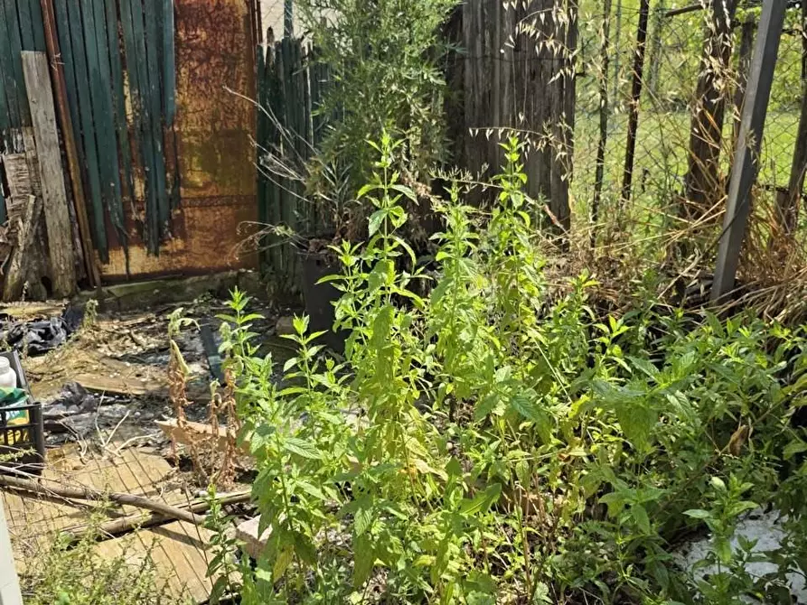 Immagine 14 di Appartamento in vendita  a San Giuliano Terme