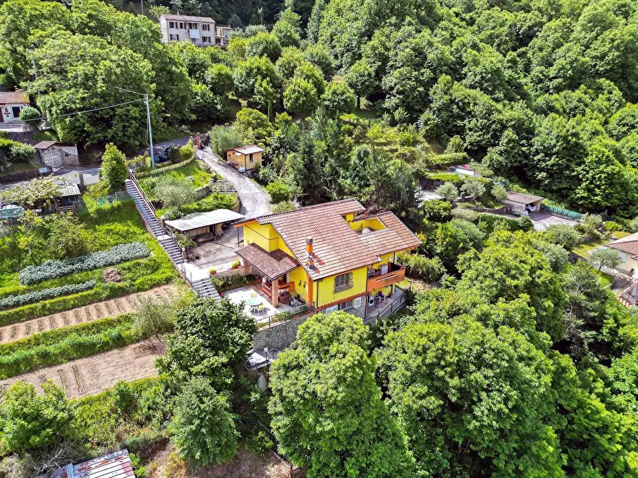 Immagine 26 di Villa in vendita  a Massa