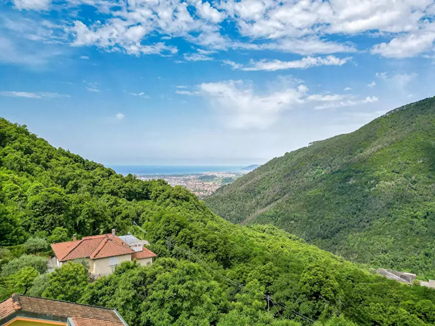 Immagine 28 di Villa in vendita  a Massa