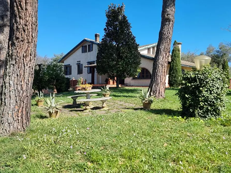 Immagine 8 di Villa in vendita  a Santa Maria A Monte