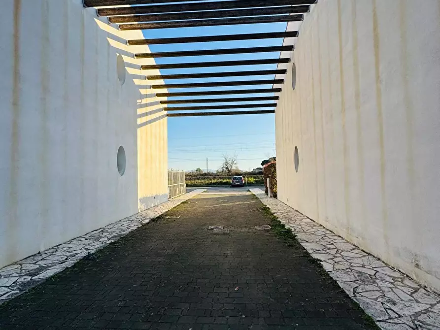 Immagine 8 di Appartamento in vendita  a Pisa