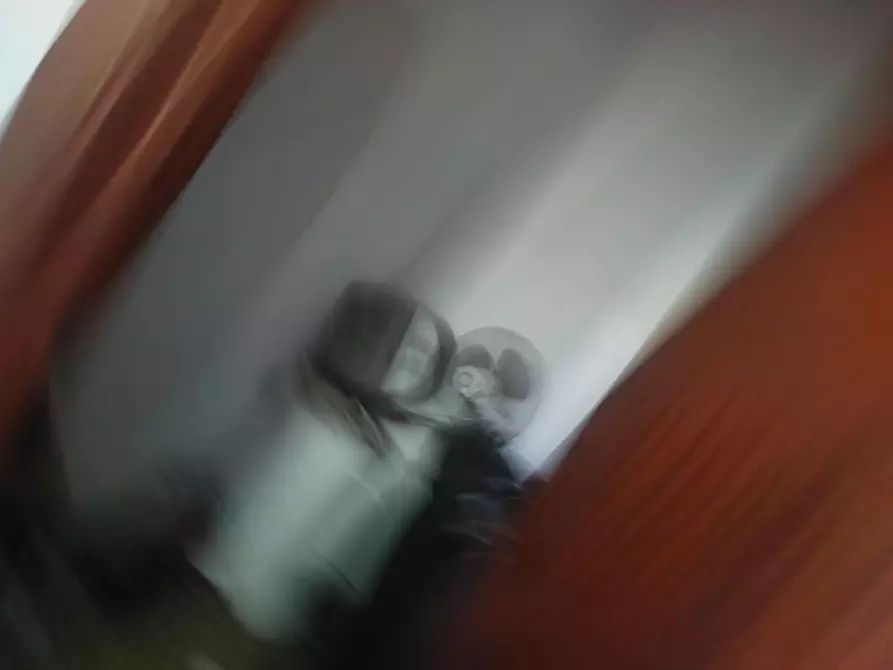 Immagine 10 di Appartamento in vendita  a Santa Croce Sull'arno