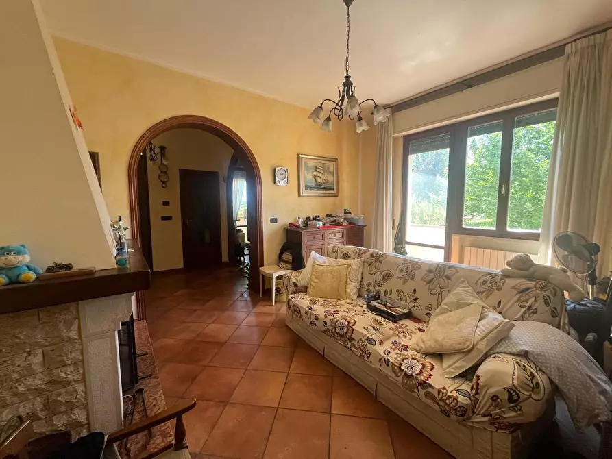 Immagine 14 di Casa indipendente in vendita  a Crespina Lorenzana