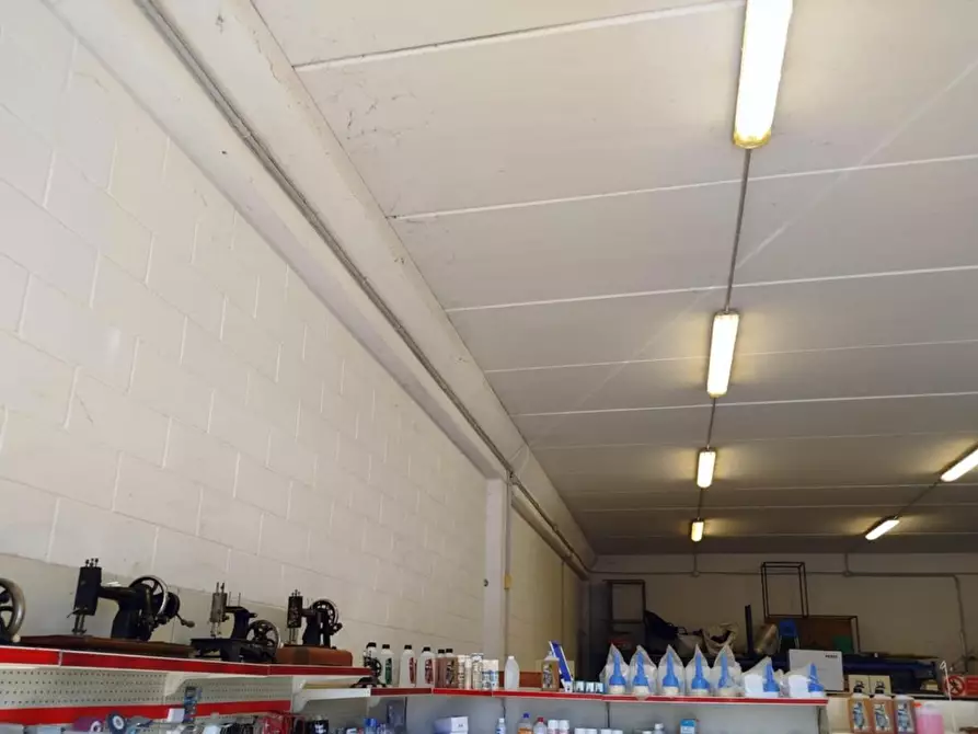 Immagine 6 di Locale commerciale in affitto  a Pontedera