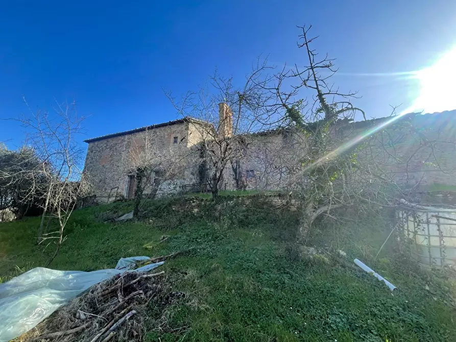 Immagine 1 di Porzione di casa in vendita  a Montalcino
