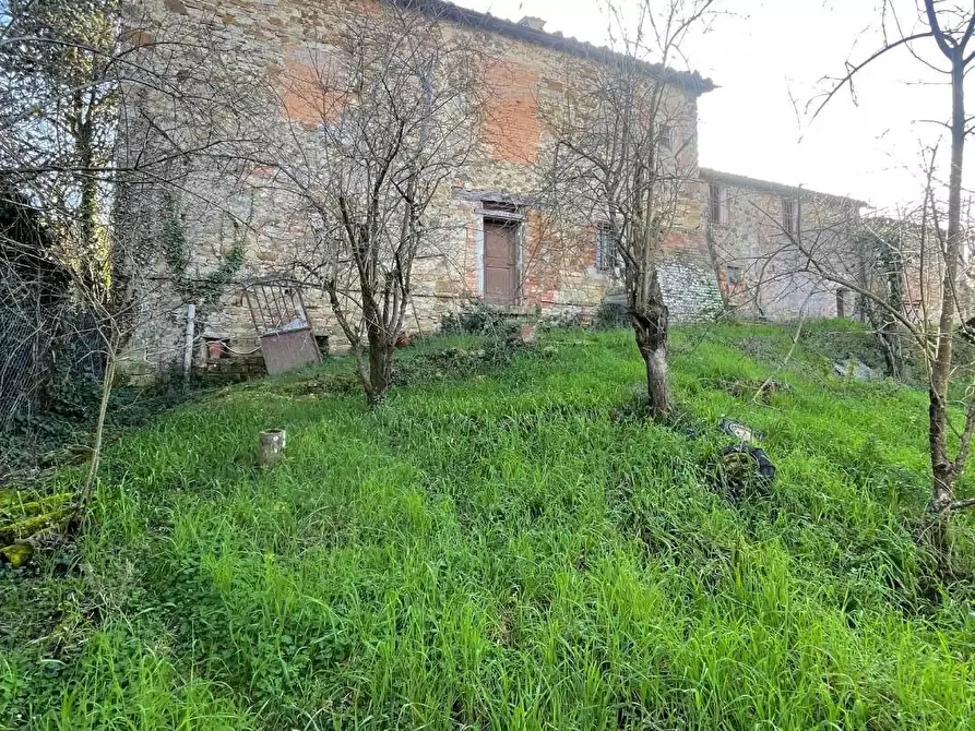 Immagine 2 di Porzione di casa in vendita  a Montalcino