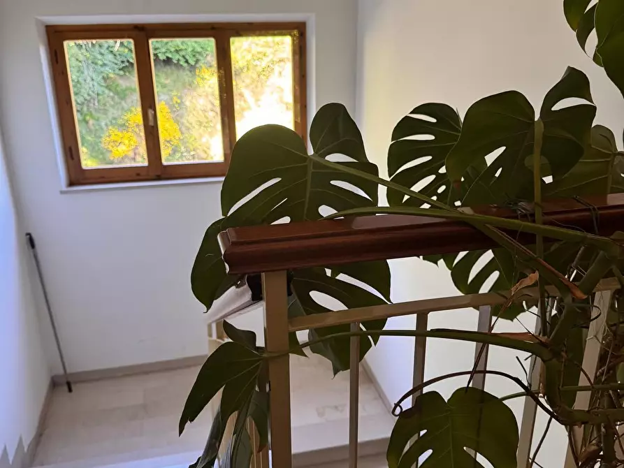 Immagine 10 di Appartamento in vendita  a Siena